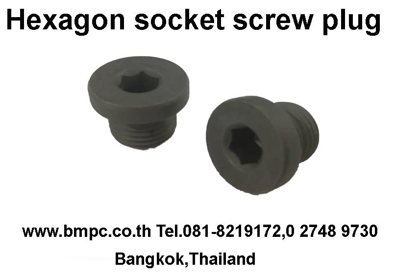 Aluminium plugs with magnet, ปลั๊ดอุดพร้อมเดือยแม่เหล้ก, Amecoil, Schnorr 9