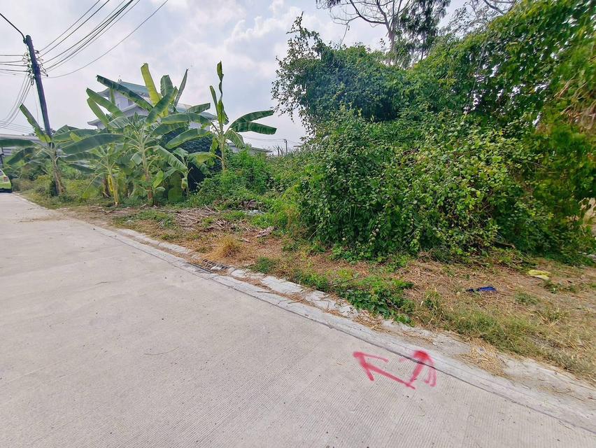 ขายด่วนที่ดินใกล้โรบินสัน ศรีสมาน 200 ตรว ติดถนน3ด้าน ซ.ศรีสมาน 5 บ้านใหม่ ปากเกร็ด 6