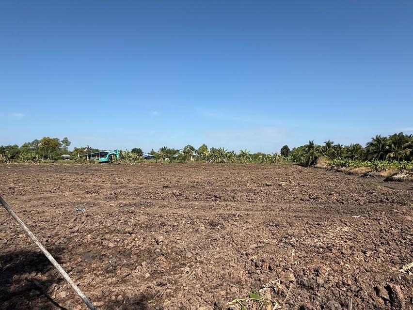 📣เปิดแปลงใหม่ 40 ไร่ สดๆร้อนๆ📣แบ่งขาย แปลงสวย ติดถนน ทำเลทองโครงการทางด่วน โครงการเริ่ม ปี พ.ศ. 2570-2571 แล้วเสร็จ 2575) 6