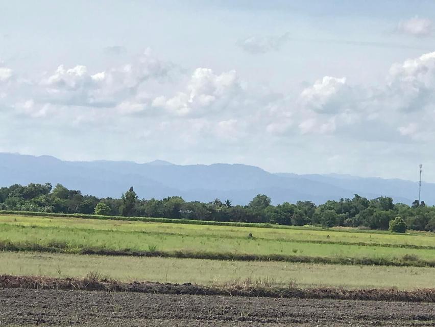 ที่ดิน ราคาถูก รีบขายด่วนมาก เป็นหนี้ 4