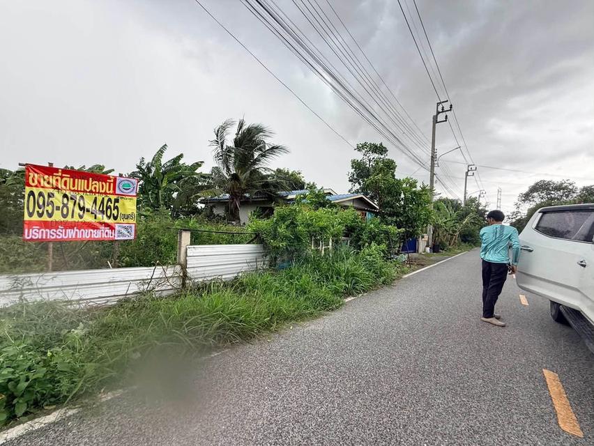 ขายด่วนที่ดิน 45 ตรว ติดถนนสาธารณะ ถมแล้ว ถ.เลียบคลองนายหลีก บางบัวทอง นนทบุรี 1