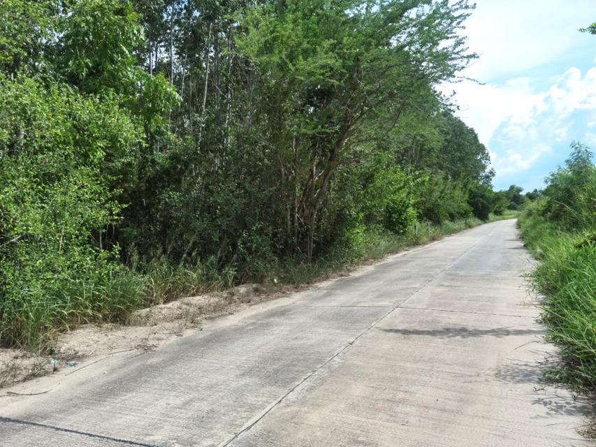ขาย ที่ดิน ME170 แปลงเล็ก รูปแปลงสวย ทำเลดี ราคาถูก มาบไผ่ บ้านบึง ชลบุรี. 5 ไร่ ใกล้อมตะชลบุรี ถนนทางหลวง 344 เพียง 5 K 5