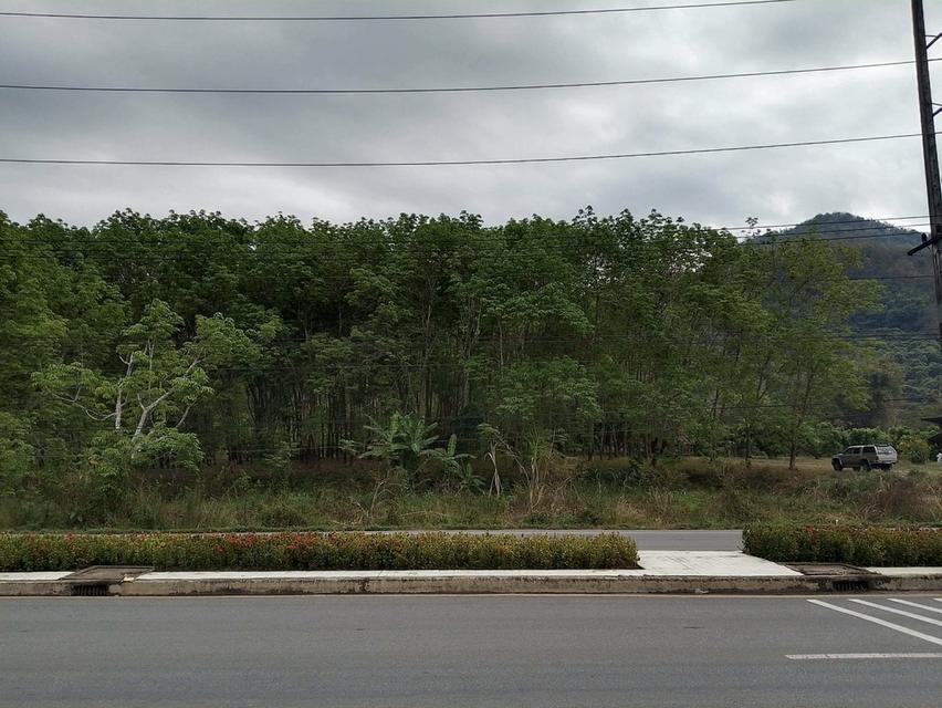 ที่ดิน สวนยาง 3 ไร่ 1งาน 60ตรว 10