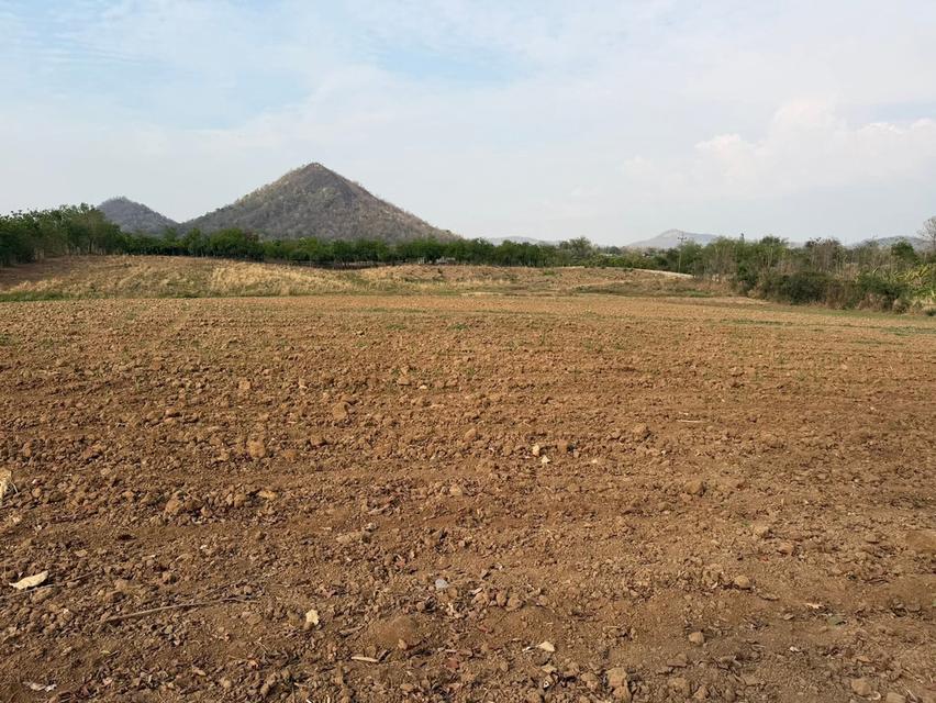 ขายที่ดินติดลำธารที่เพชรบูรณ์ 15