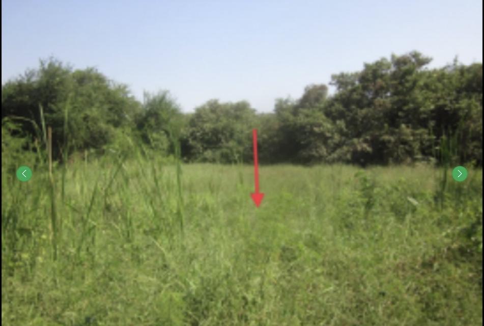 ขายที่ดินใกล้นิคมใกล้มอเตอร์เวย์พานทองชลบุรี7ไร่ 8