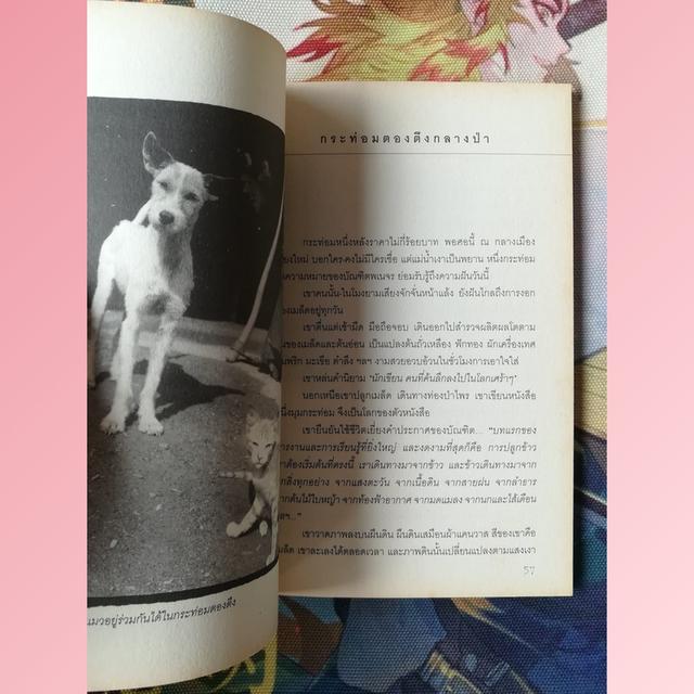 เอกเขนกในสวนของคนขี้เกียจ : สุวิชานนท์ รัตนภิมล (สารคดี ความเรียง วิถีชนเผ่าปกากะญอ) 7