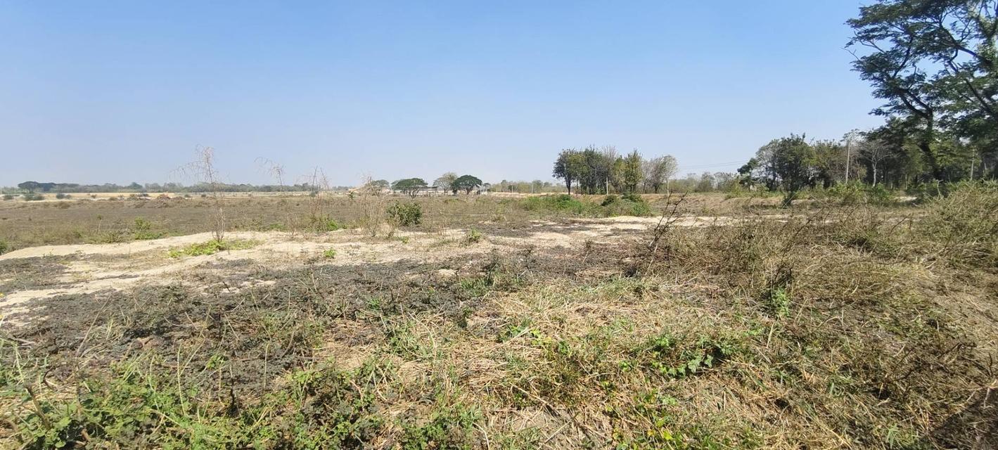 ขายที่ดินนครปฐม หนองดินแดง เนื้อที่14ไร่3งาน ที่ดินเป็นที่บ่อทราย 3