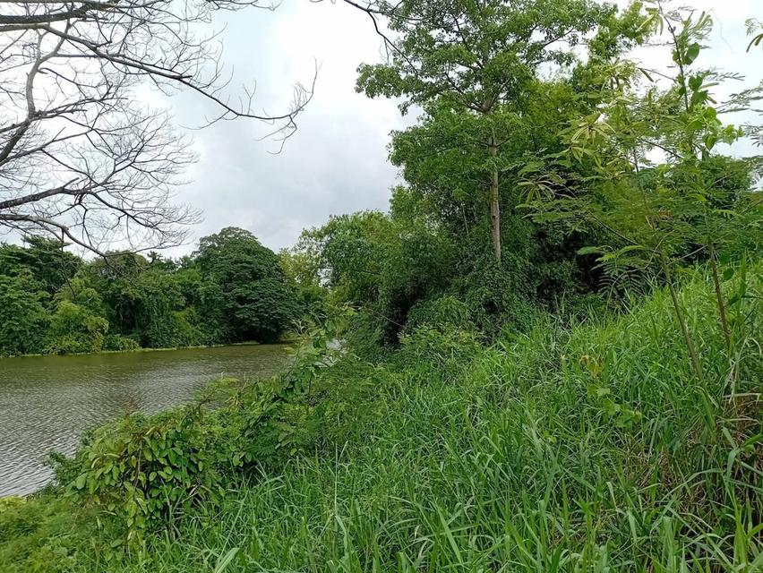 ที่ดินริมแม่น้ำป่าสัก จังหวัดสระบุรี 2