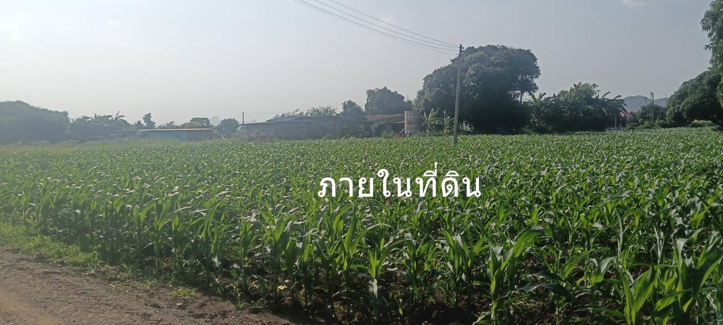 ขายที่ดิน 8 ไร่ อ.พระพุทธบาท สระบุรี ไร่ละ 3 แสน 4