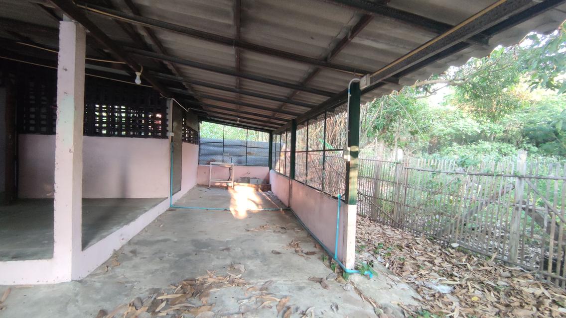 บ้านพร้อมที่ดิน 100 ตร.ว. 3 ห้องนอน 2 ห้องน้ำ ห้วยทราย สันกำแพง 13