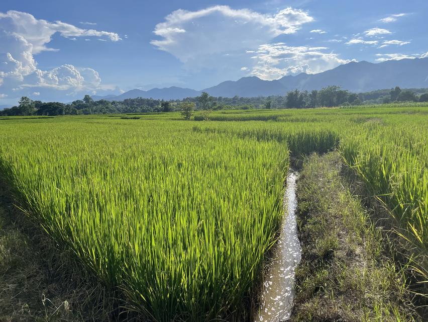 ที่ดินวิวสวย อำเภอปาย 3