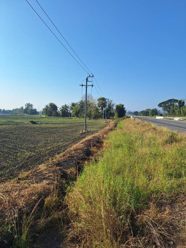 ที่ดินติดถนนเลี่่ยงเมือง234 3