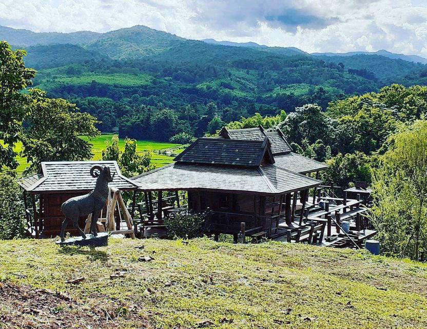 ขายบ้านพักตากอากาศ วิวดอย ทุ่งนา อ.แม่ริม จ.เชียงใหม่ 5