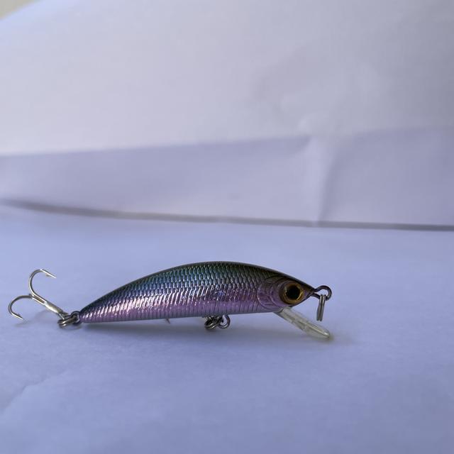 เหยื่อปลอมตกปลา Lucky craft humpback minnow 4