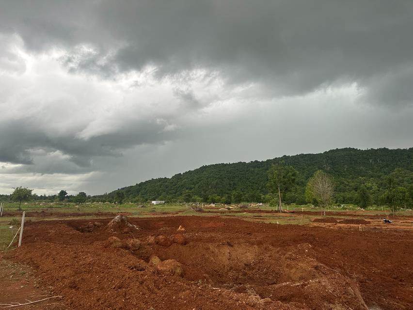 ที่ดิน เขาปากกว้าง โพธาราม ราชบุรี ขนาด 100 ตร.วา - 1 ไร่  15