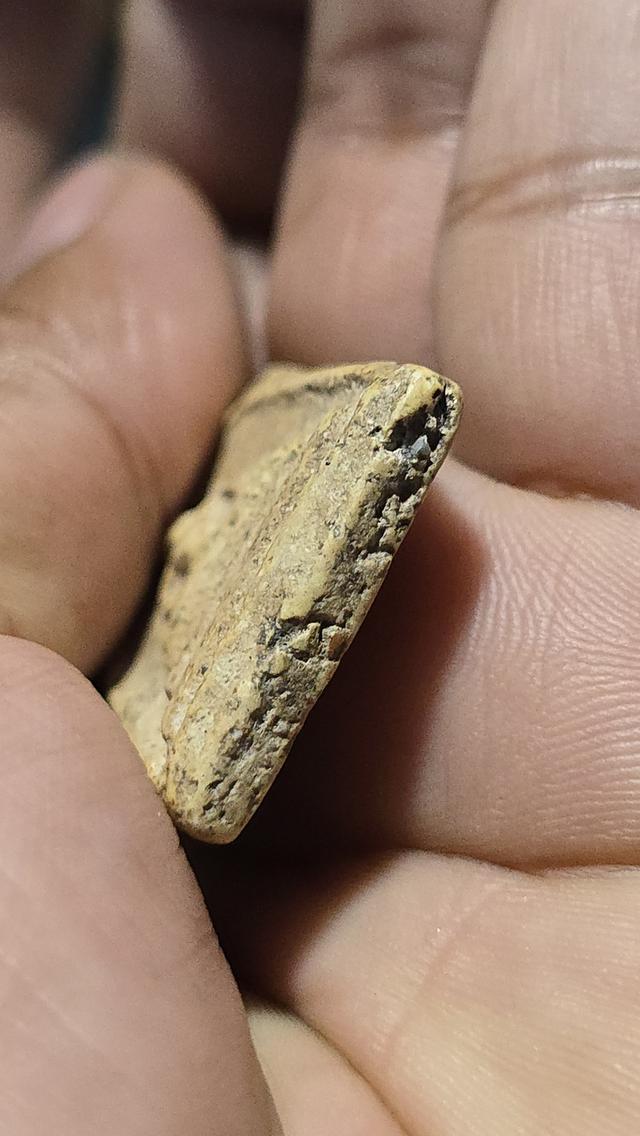 พระสมเด็จ วัดระฆัง พิมพ์ใหญ่ 5