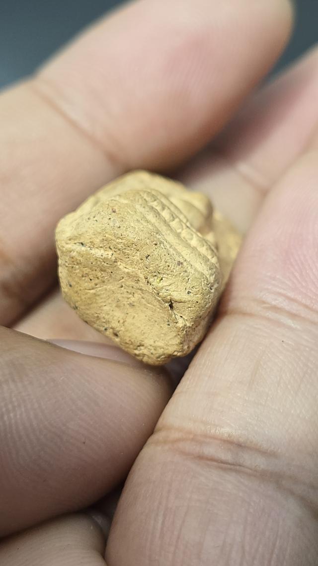 พระคงลำพูน  5