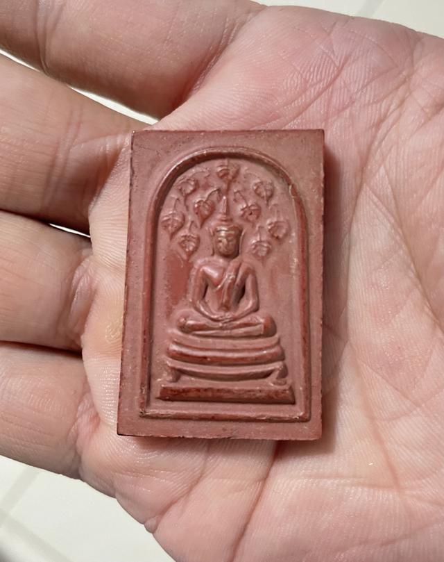 สมเด็จปกโพธิ์9ใบ หลวงพ่อกวย 6