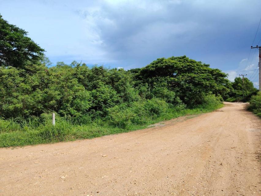 ขายที่ดินประจวบคีรีขันธ์ 1 ไร่ 0 งาน 60 ตร.ว. ใกล้โรงเรียนนานาชาติหัวหิน 4