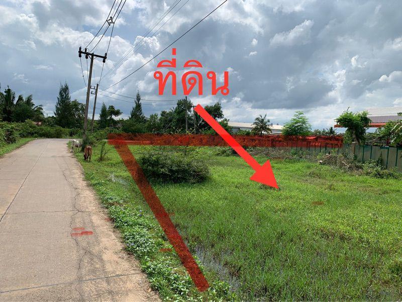 ขายที่ดินเปล่า ทำเลดี อำเภอกาญจนดิษฐ์ จังหวัดสุราษฎร์ธานี 5