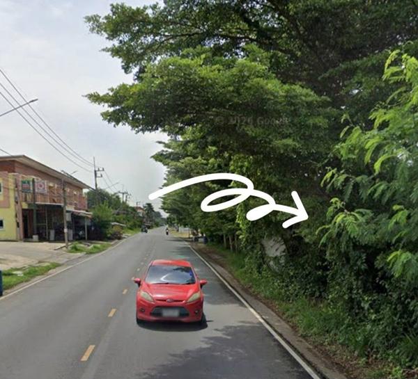 ขายที่ดินเปล่าในชุมชน ใกล้ตลาด 14-2-42ไร่ อยุธยา ท่าเรือ 2