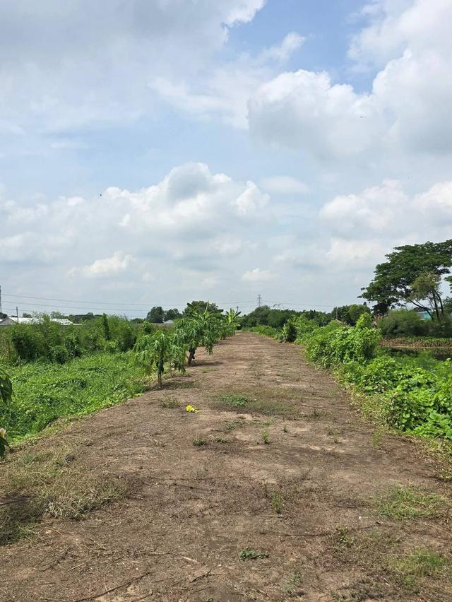 ที่ดิน จังหวัด นครปฐม 2