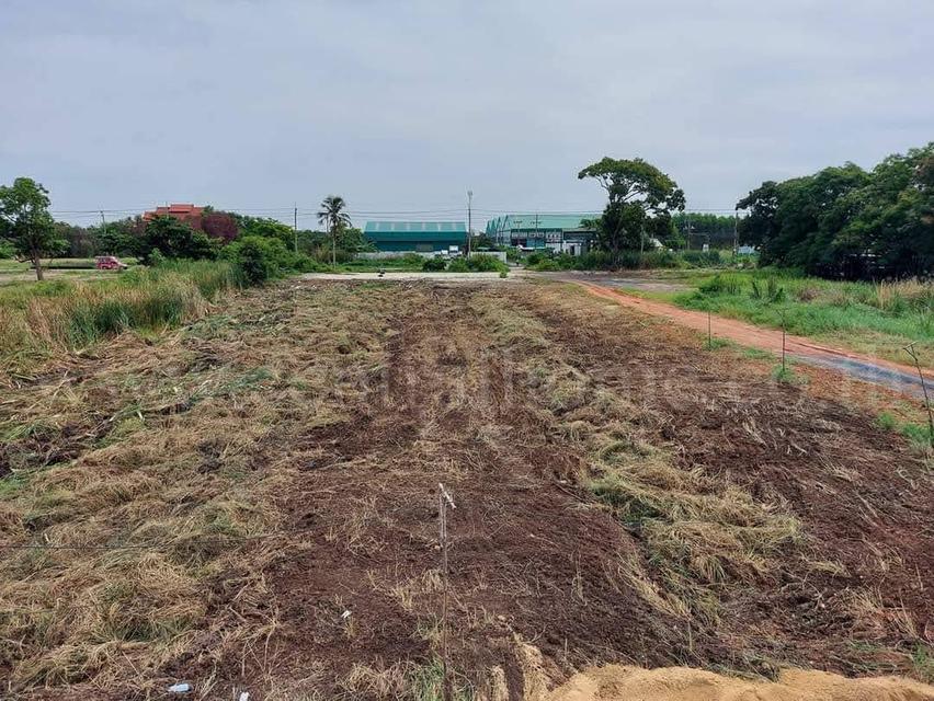 ให้เช่า ที่ดินเปล่า 5 - 2 -11 ไร่ ประชาพัฒนา - ลาดกระบัง 6