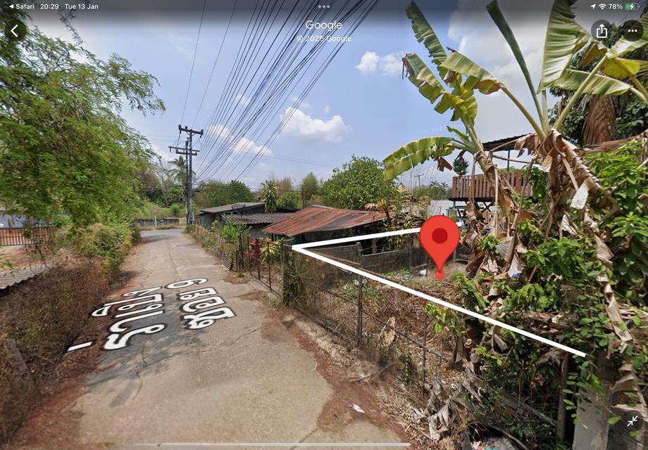 ขายที่ดินผืนเล็ก แม่แตง เชียงใหม่ 1