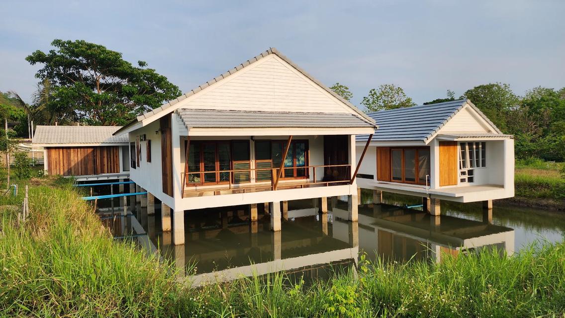 ขายบ้านพร้อมที่ดิน ต.นางแล อ.นางแล จ.เชียงราย จำนวน 9 ไร่ ราคา 29 ล้านบาท 2