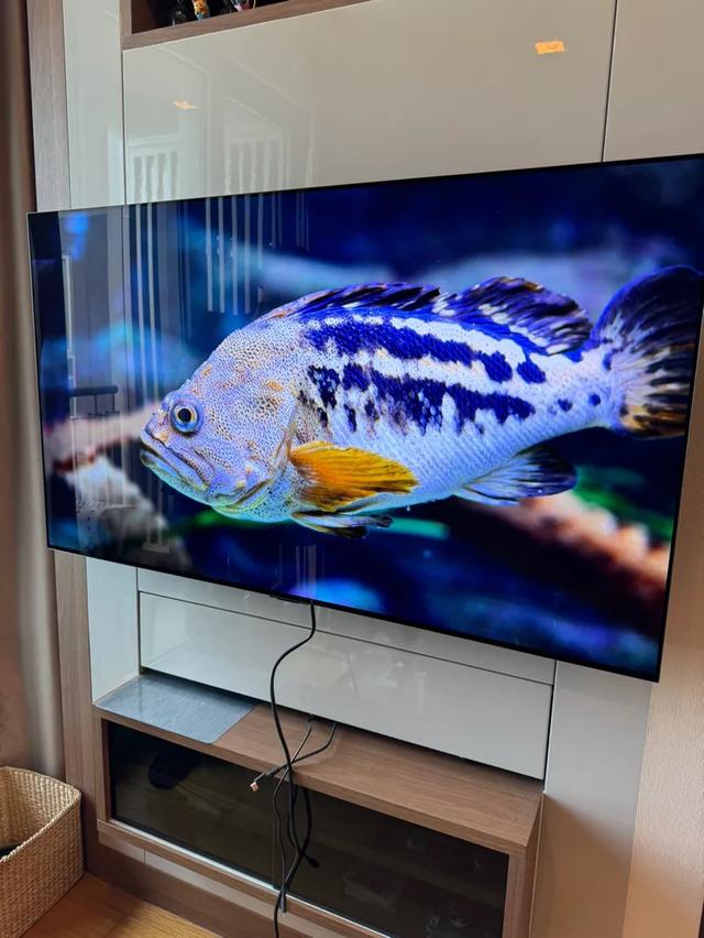 LG OLED ขนาด 48 นิ้ว มือสอง 3