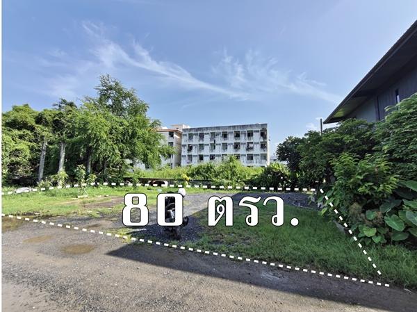 ขาย ที่ดิน ติด ถ.ร่มเกล้า ร่มเกล้า 52 ลาดกระบัง 80 ตารางวา ใกล้มอเตอร์เวย์ สนามบินสุวรรณภูมิ เหมาะทำโกดังเก็บของ 2