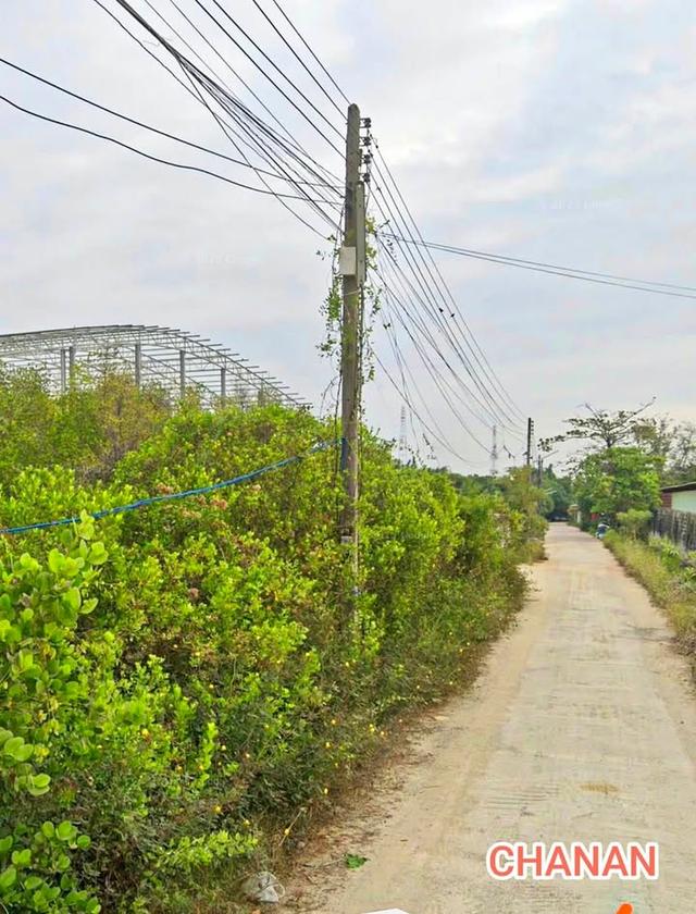 ขายที่ดิน ถ.พระราม2 ซ.ถ.หมู่ที่3ซ.3 ถ.เลียบคลอง ใกล้สถานีตำรวจ บางโทรัด จ.สมุทรสาคร เนื้อที่277ตรว 3