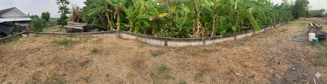 ขายที่ดิน ต.นิคมเขาบ่อแก้ว อ.พยุหะคีรี จ.นครสวรรค์ 2