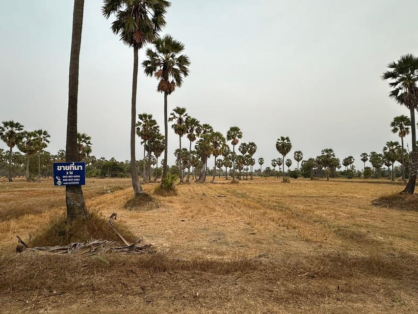 ขายที่ดินจังหวัดเพชรบุรี ตำบลหนองกะปุ 3