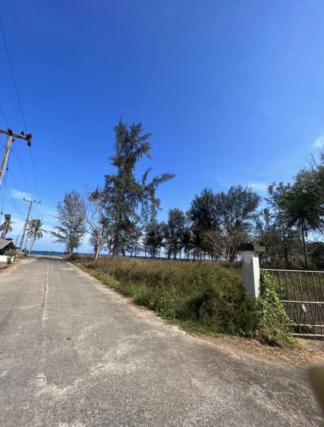 ต้องการขายที่ดินติดทะเล 6