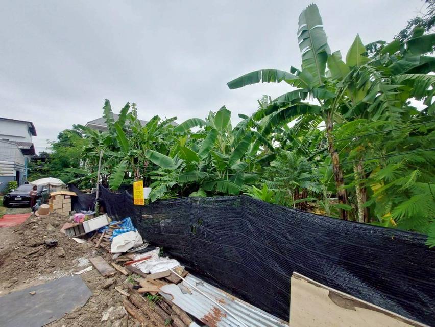 ขายที่ดินเปล่า ซอยศรีนครินทร์ 29 สวนหลวง กรุงเทพมหานคร