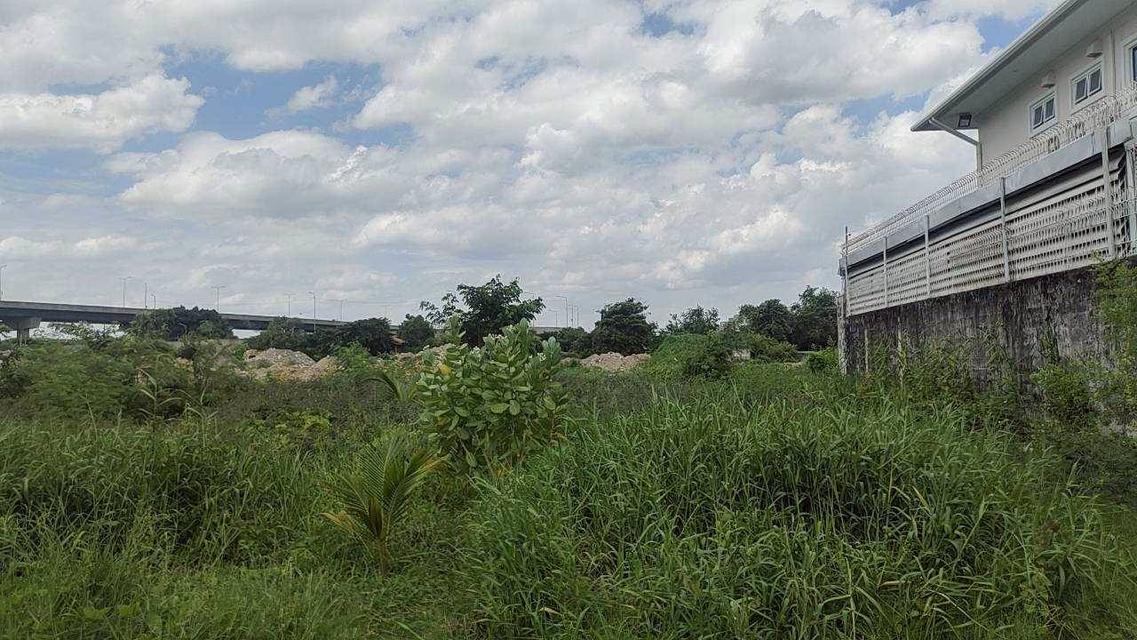 ขาย ที่ดินตลิ่งชัน ใกล้ ถ.บรมราชชนนี (200ตร.ว.) ซอย ฉิมพลี8 ต.ฉิมพลี อ.ตลิ่งชัน จ.กรุงเทพฯ 15,000,000 บาท 10