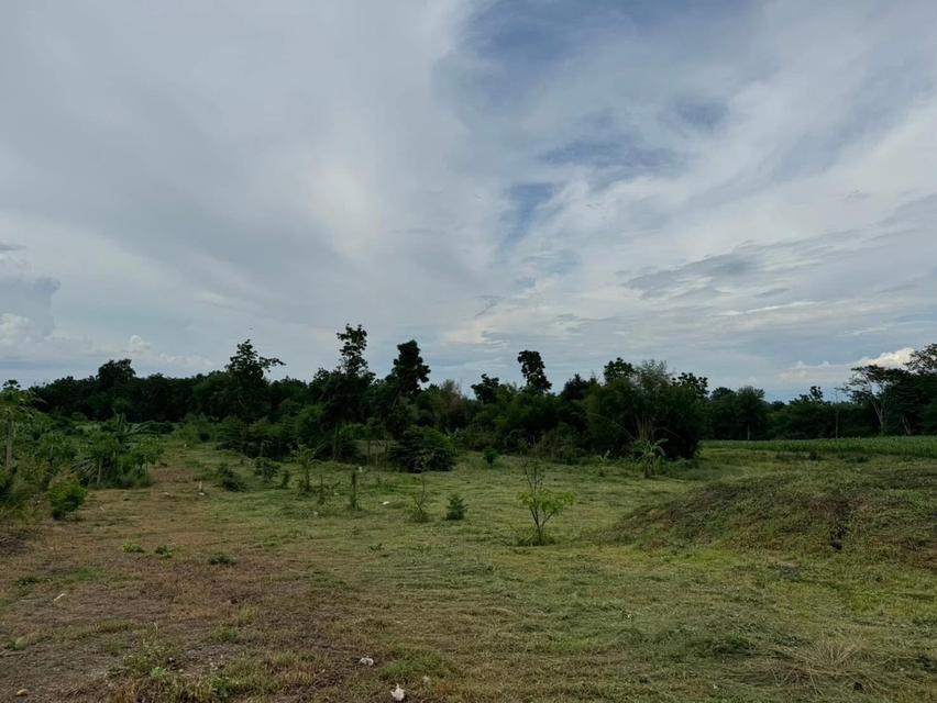 ที่ดินโฉนด 4ไร่ เมืองเพชรบูรณ์ 4