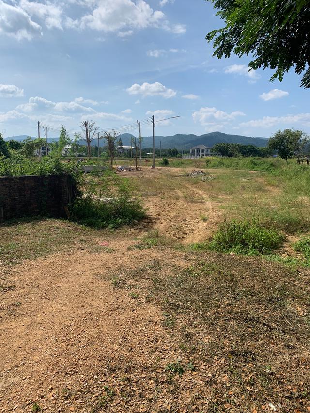 ขายที่ดิน จังหวัดแพร่