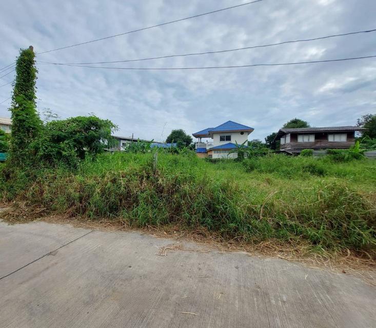 ขายที่ดิน เนื้อที่ 91 ตร.ว. ซอยอ่อนนุช 66 แยก 19-12-4 ใกล้สวนสาธารณะบึงหนองบอน 1