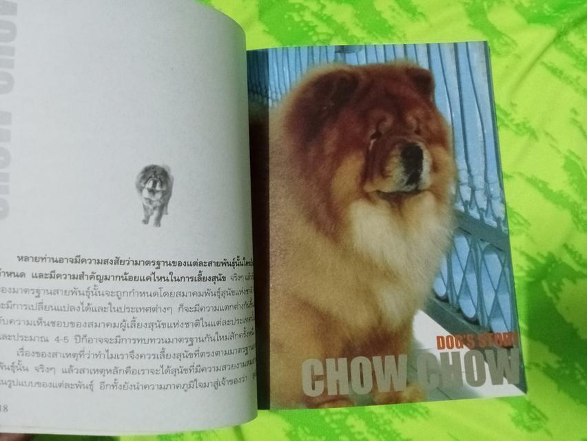 หนังสือคู่มือการเลี้ยง เชาเชา