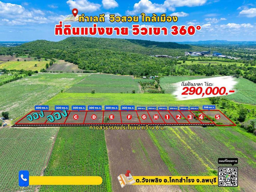 ที่ดิน วังเพลิง โคกสำโรง จ. ลพบุรี 2