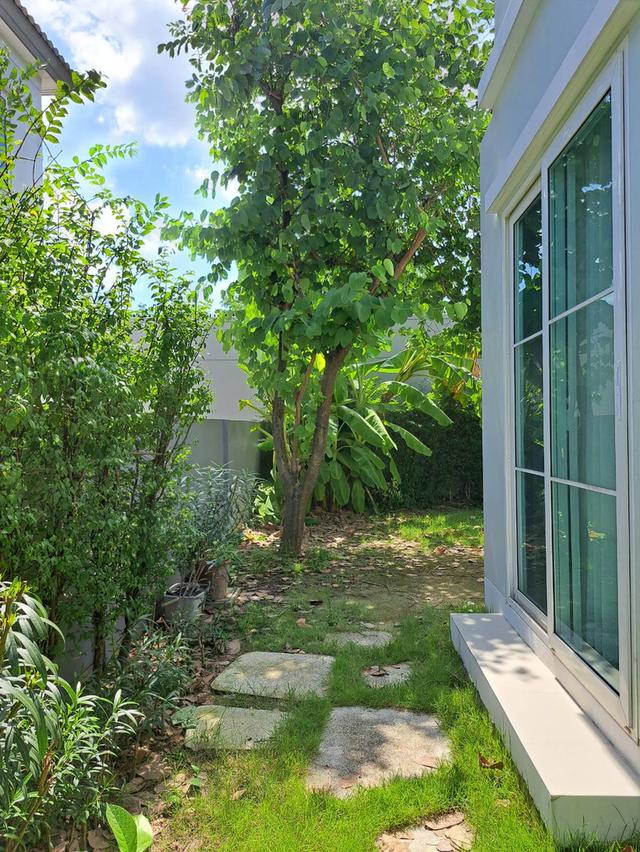 บ้าน anya ราชพฤกษ์-นครอินทร์ 11