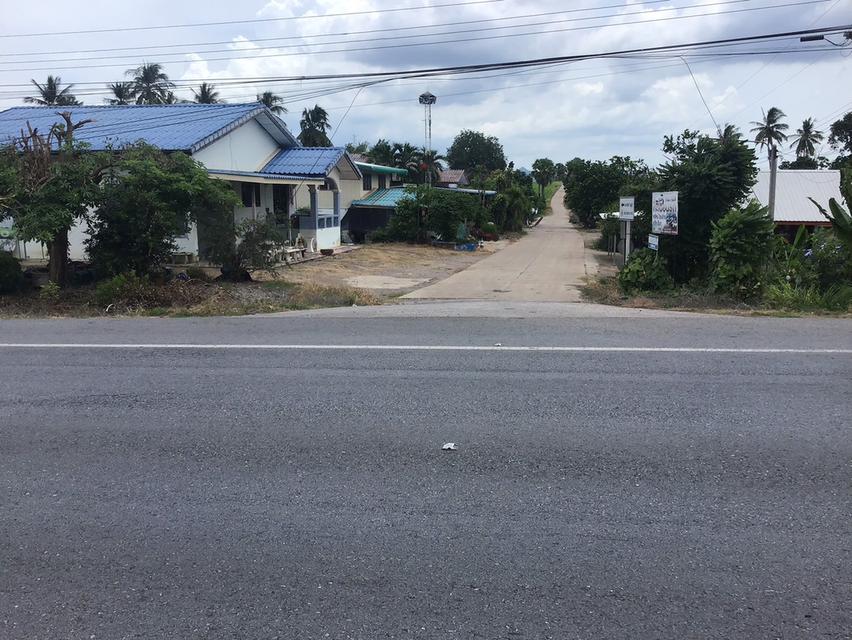 ขายที่ดิน โฉนดครุฑแดง ขนาด 48 ไร่  4