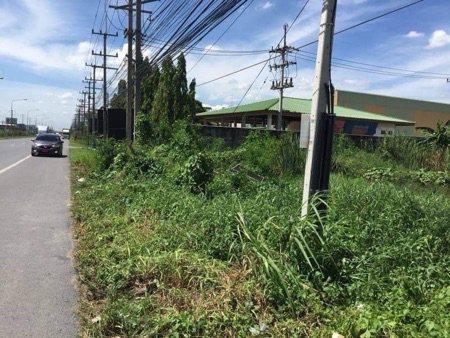 รูป ขาย ที่ดิน Very nice land. Next to Phutthamonthon Sai 5 Rd สวยมาก ติดถนนพุทธมณฑล สาย 5 4 ไร่ 2 งาน 80 ตร.วา ติดถนนใหญ่ 5