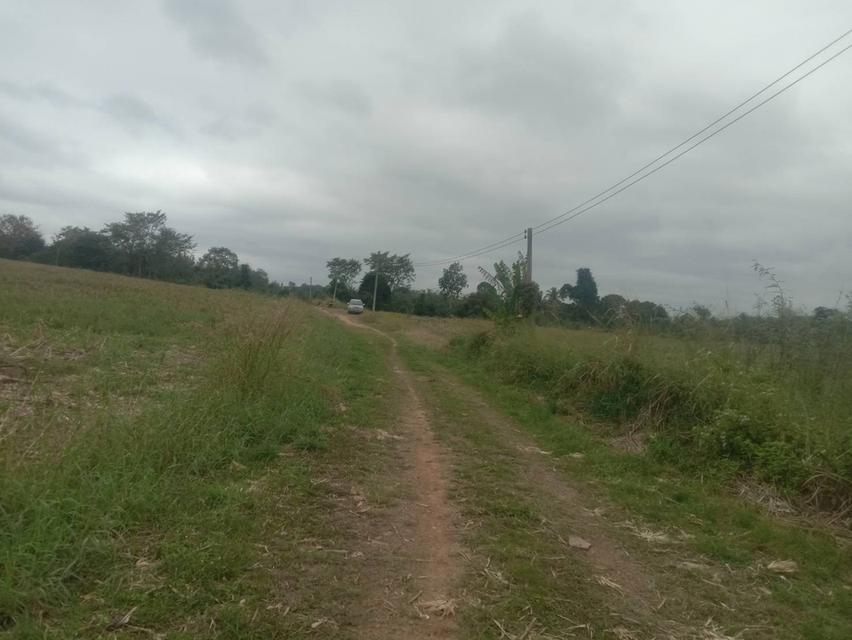 ที่ดินเปล่า 20 ไร่ๆละ 5 แสน แบ่งขายได้ คลองสอง วังน้ำเขียว 17