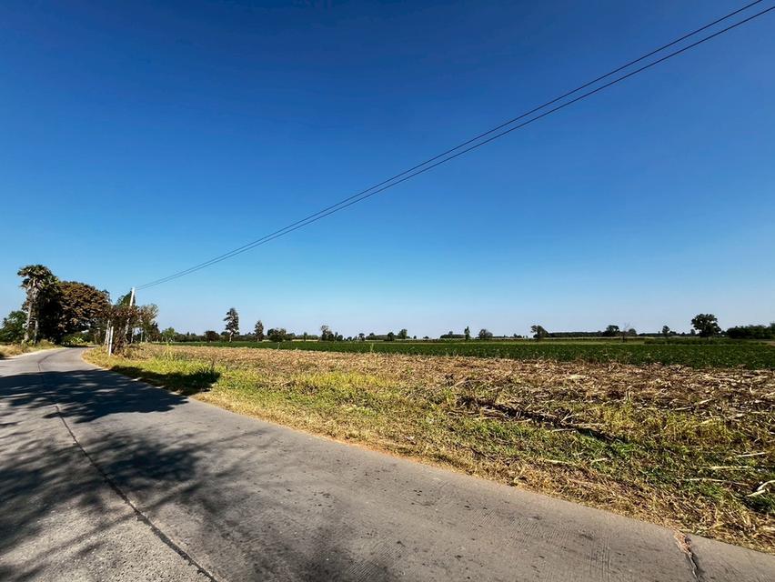 ขายที่ดินเปล่า แปลงใหญ่ ใกล้สนามกอล์ฟ สิงห์ปาร์ค ขอนแก่น รูปที่ 2