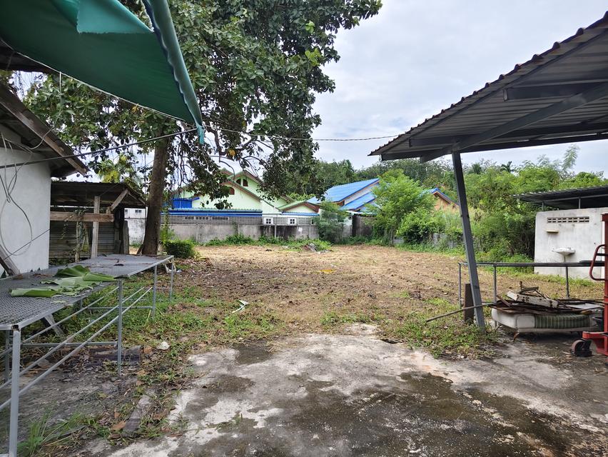 ที่ดินพร้อมอาคาร ห้องแถว โกดังเก็บของ 12
