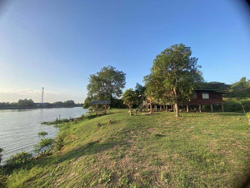ที่ดินผืนงามริมแม่น้ำเจ้าพระยา – อัญมณีแห่งบางปะอิน 4