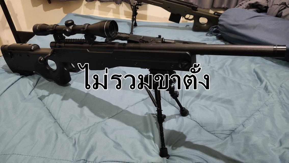 crown type96 junior